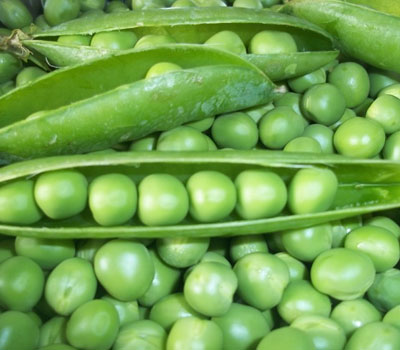 Arveja verde