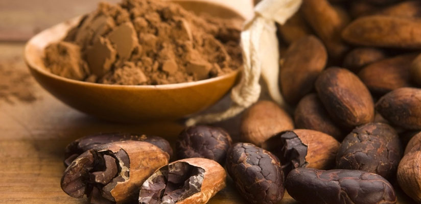 El Cacao