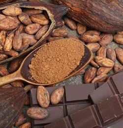 Valor nutricional del cacao