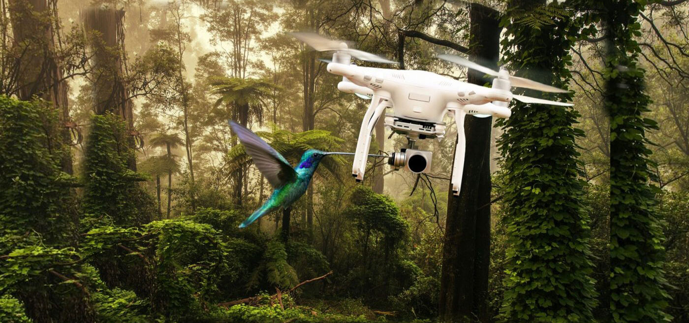 Productos Orgánicos y Procesados con Certificación Internacional Colibrí y drone